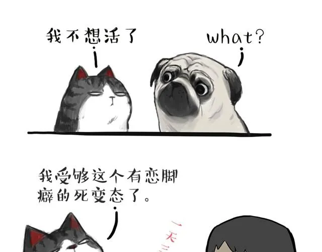 第13话 不想理这个恋脚癖 第7页