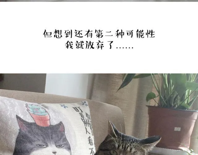 第14话 缩小后最容易遇见什么 第3页