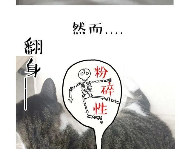 第14话 缩小后最容易遇见什么 第12页