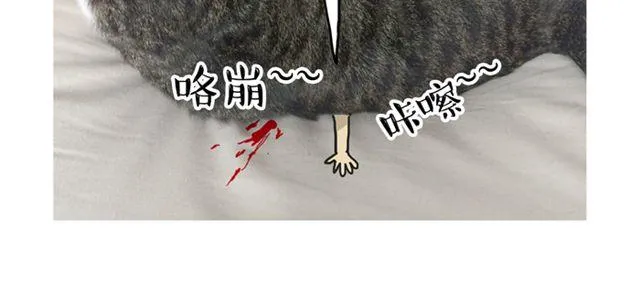 第14话 缩小后最容易遇见什么 第13页