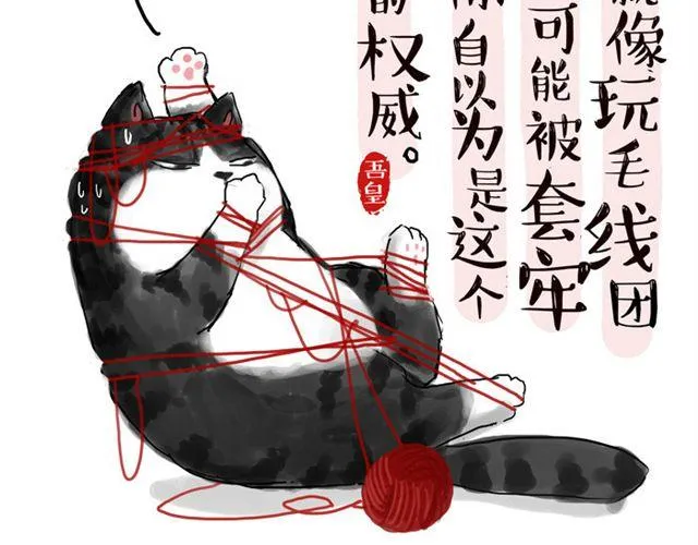第15话 猫引发的朋友圈惨案 第2页