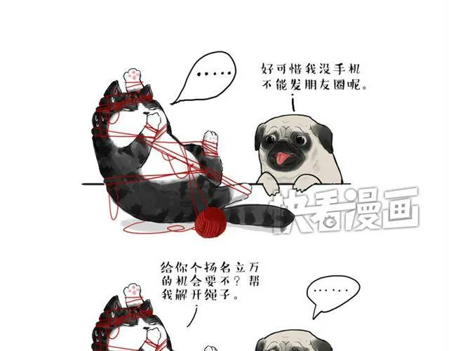 第15话 猫引发的朋友圈惨案 第3页