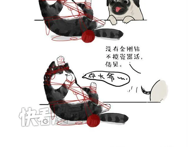 第15话 猫引发的朋友圈惨案 第4页