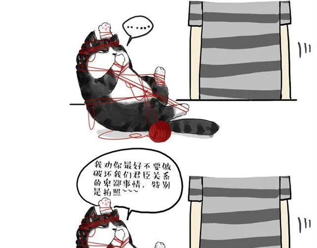 第15话 猫引发的朋友圈惨案 第5页