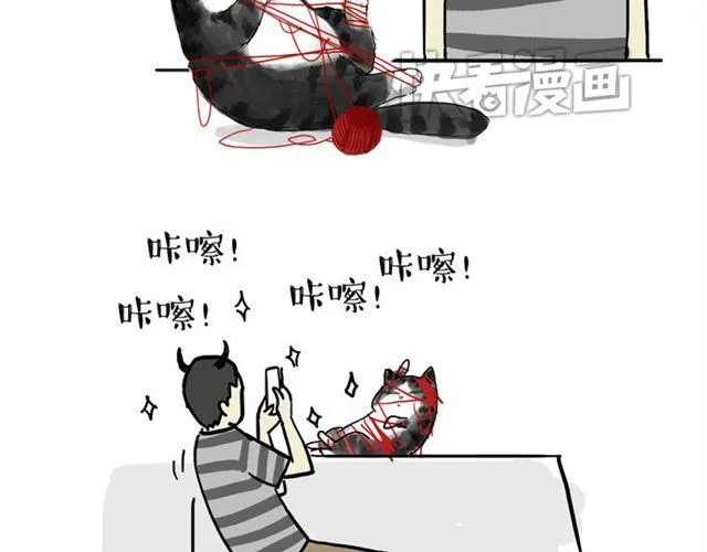 第15话 猫引发的朋友圈惨案 第6页