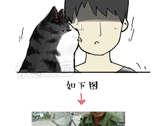 第15话 猫引发的朋友圈惨案 第14页