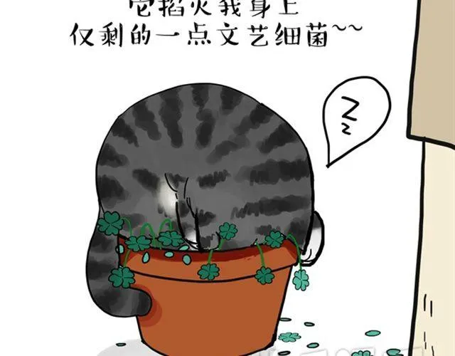 第15话 猫引发的朋友圈惨案 第20页