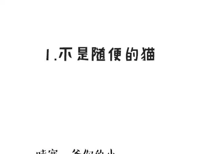 第16话 我家猫怎么能牺牲色相 第1页