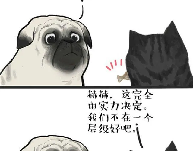 第16话 我家猫怎么能牺牲色相 第3页