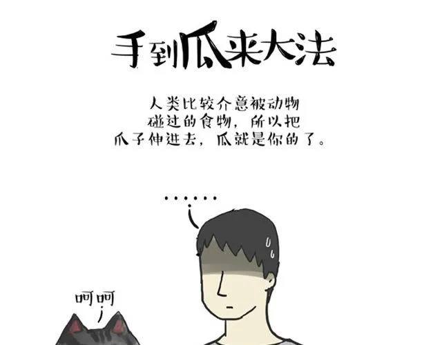 第16话 我家猫怎么能牺牲色相 第14页