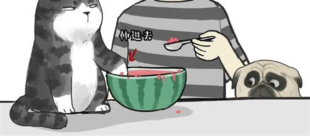 第16话 我家猫怎么能牺牲色相 第15页