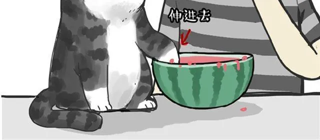 第16话 我家猫怎么能牺牲色相 第18页