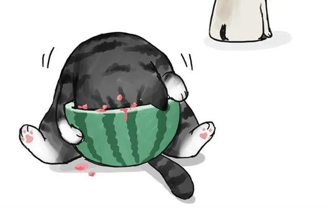 第16话 我家猫怎么能牺牲色相 第20页