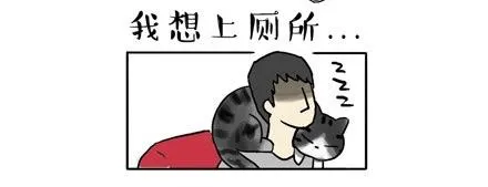 第17话 尽我所能，不打扰你 第2页