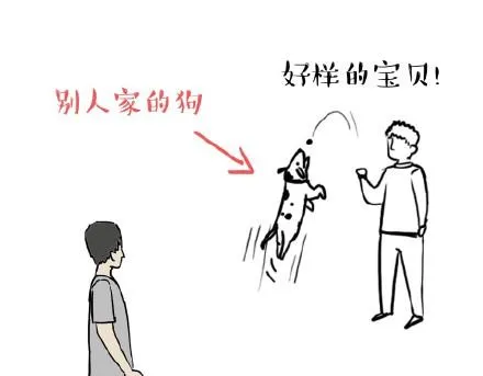 第17话 尽我所能，不打扰你 第13页