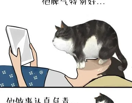 第18话 思考喵生的猫 第22页