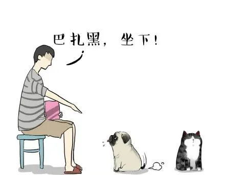 第21话 巴扎黑不是我亲生的！ 第1页