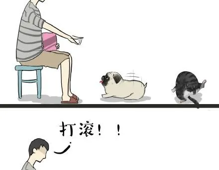 第21话 巴扎黑不是我亲生的！ 第3页