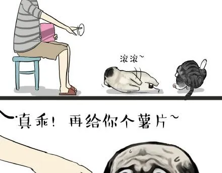 第21话 巴扎黑不是我亲生的！ 第4页