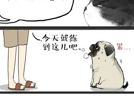 第21话 巴扎黑不是我亲生的！ 第6页
