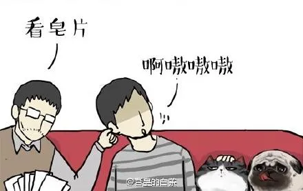第22话 全民CP时代！ 第12页