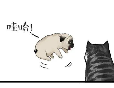 第23话 这是巴扎黑的专场！ 第1页