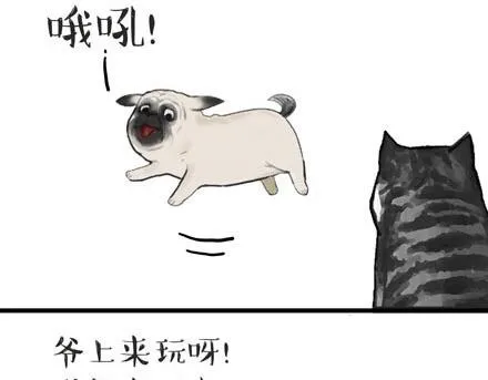 第23话 这是巴扎黑的专场！ 第2页
