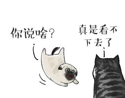 第23话 这是巴扎黑的专场！ 第5页