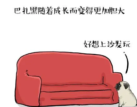 第23话 这是巴扎黑的专场！ 第21页