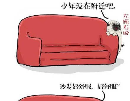 第23话 这是巴扎黑的专场！ 第23页