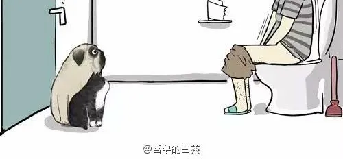 第24话 为什么上厕所要偷看 第19页