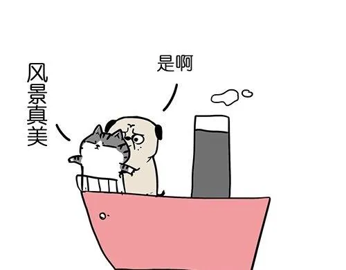 第25话 爱情的巨轮~说沉就沉 第1页
