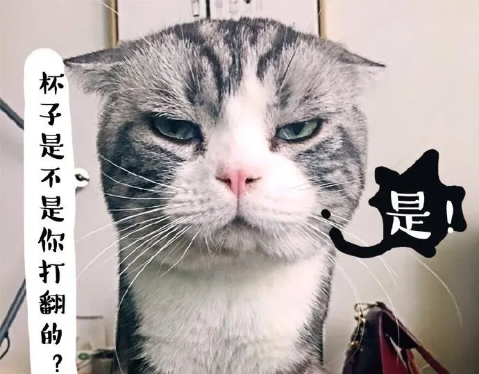 第26话 犯错你会卖萌求原谅吗 第1页