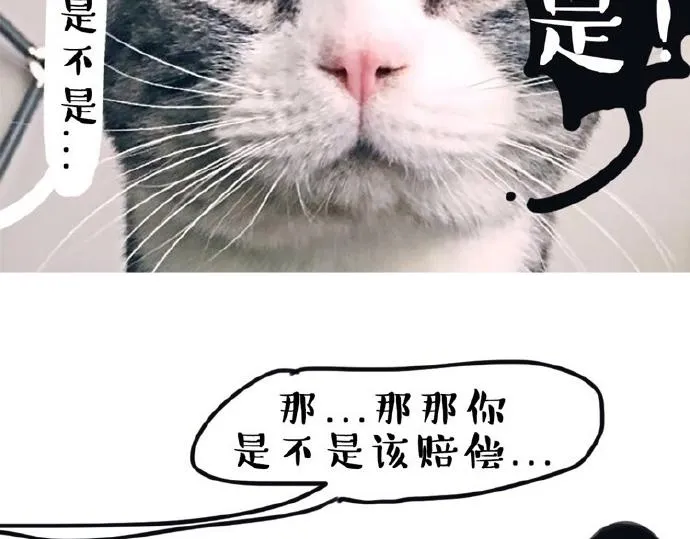 第26话 犯错你会卖萌求原谅吗 第5页
