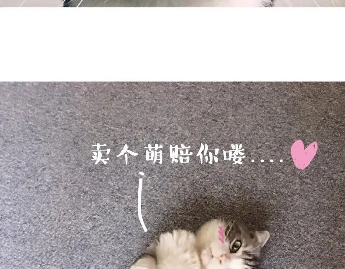 第26话 犯错你会卖萌求原谅吗 第7页