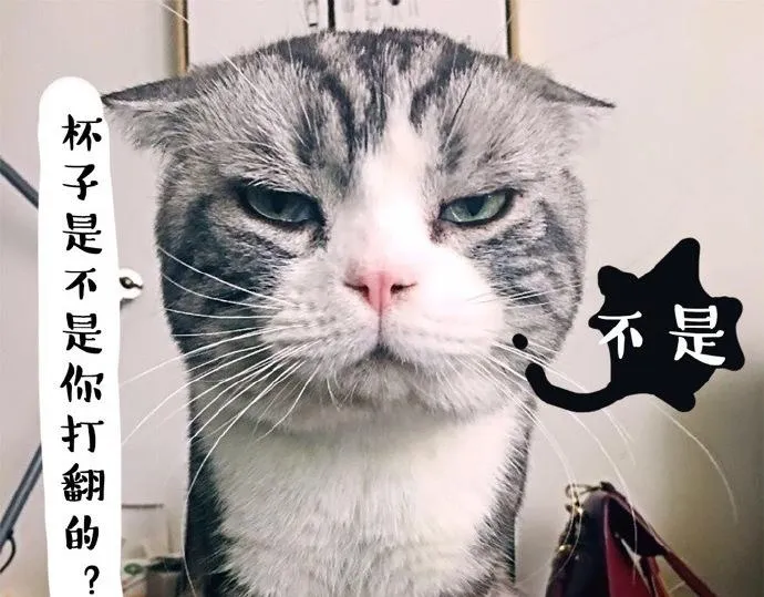 第26话 犯错你会卖萌求原谅吗 第10页