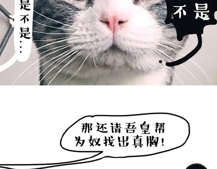 第26话 犯错你会卖萌求原谅吗 第14页