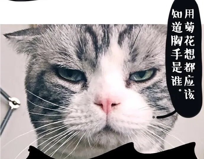 第26话 犯错你会卖萌求原谅吗 第15页