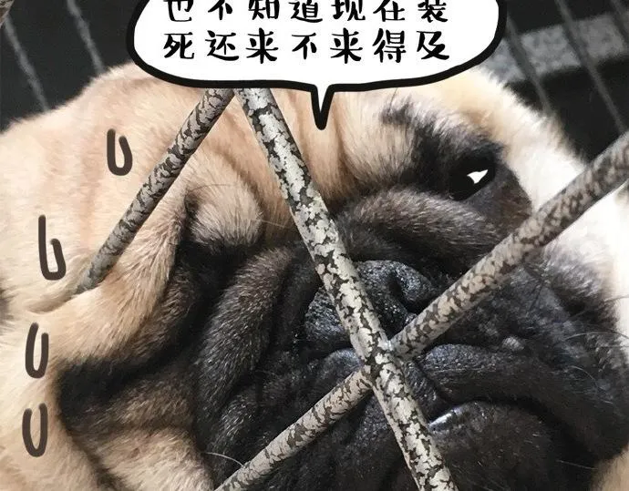 第26话 犯错你会卖萌求原谅吗 第18页