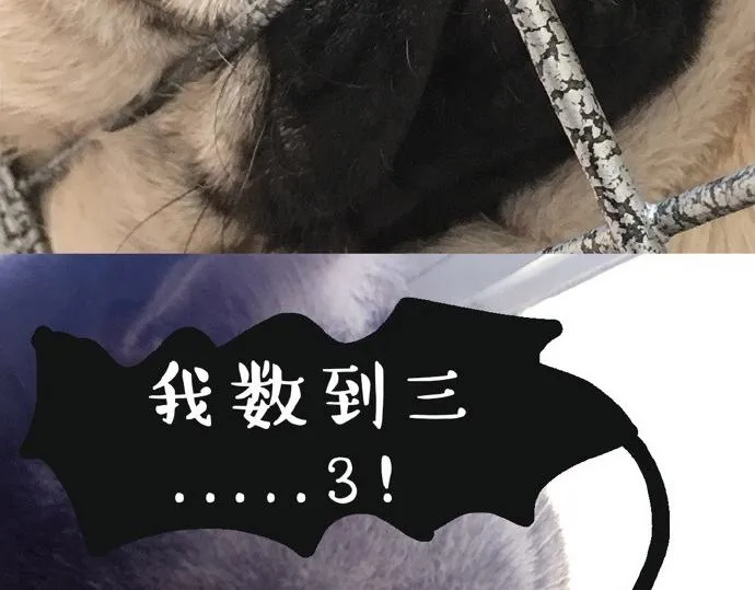 第26话 犯错你会卖萌求原谅吗 第19页