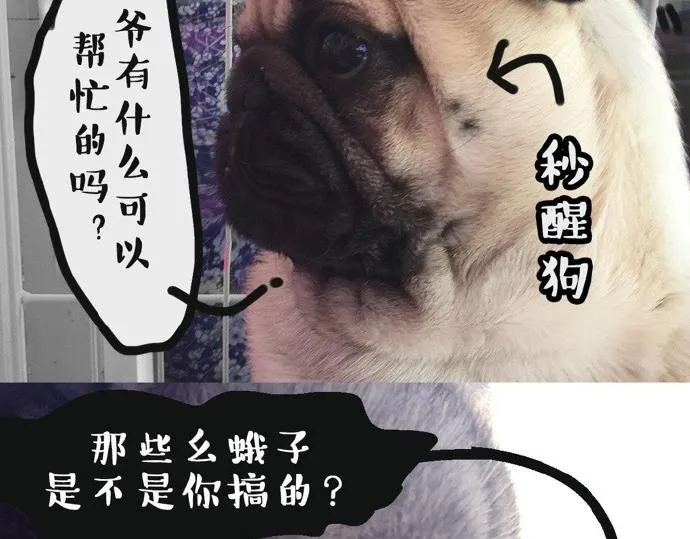 第26话 犯错你会卖萌求原谅吗 第21页