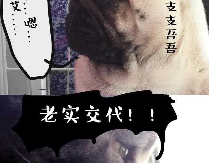 第26话 犯错你会卖萌求原谅吗 第23页