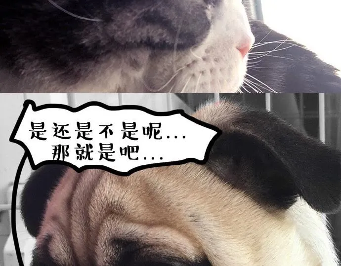 第26话 犯错你会卖萌求原谅吗 第24页
