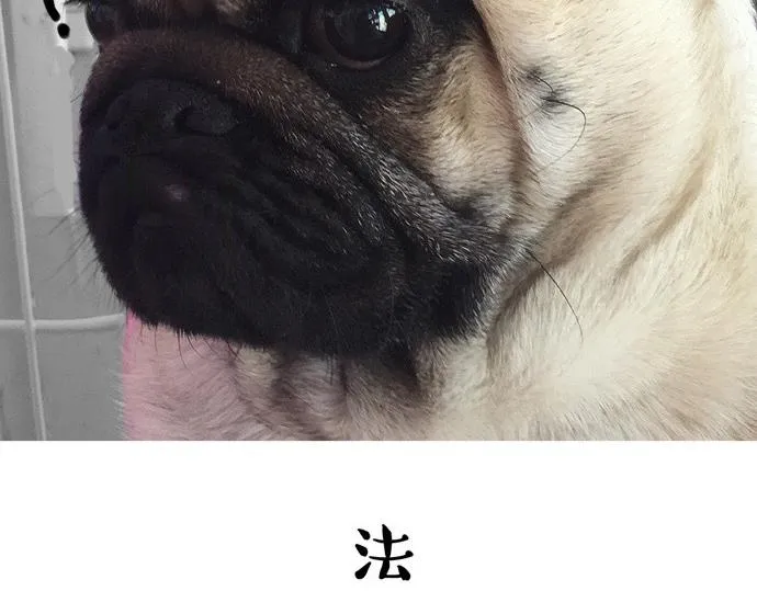 第26话 犯错你会卖萌求原谅吗 第25页