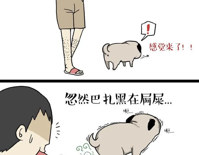第29话 就算高考也要铲屎 第10页