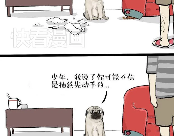 第29话 就算高考也要铲屎 第32页