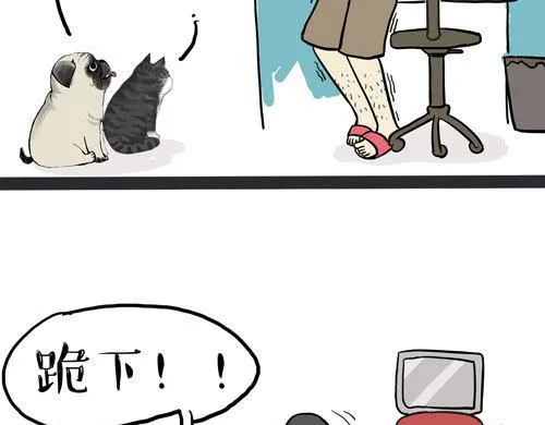 第30话 能运功的喵星人 第5页