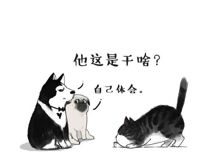 第31话 来自喵星人的快感 第10页