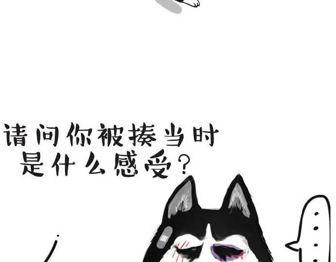 第31话 来自喵星人的快感 第14页