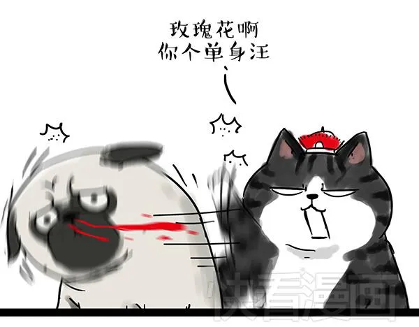 第32话 七夕你为什么还单身？ 第3页